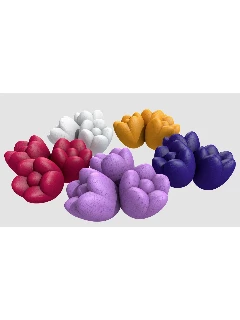 Windmill Valley: Windmill Tulips (Kiegészítő)