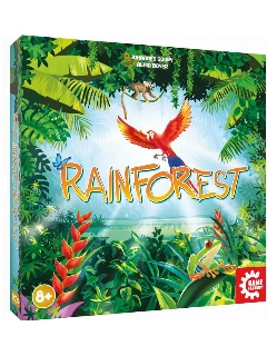 Rainforest