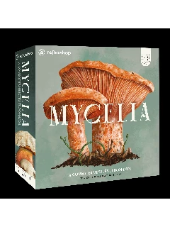 Mycelia.jpg