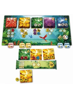 Rainforest
