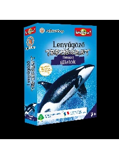 Lenyűgöző természet: Tengeri állatok